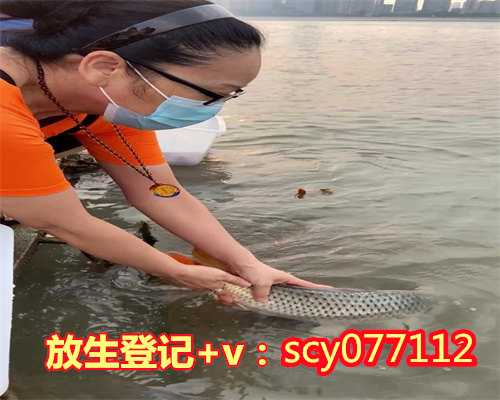 阳江买鱼放生，阳江中华牛蛙放生在哪里比较好呢，阳江哪个公园适合放生乌龟