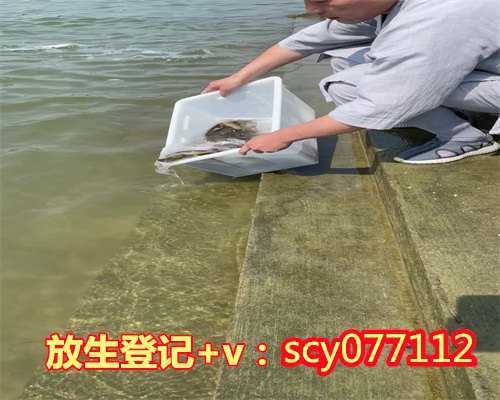 成都淡水鱼去哪里放生，成都彭州龙兴寺藏石刻的保护修复