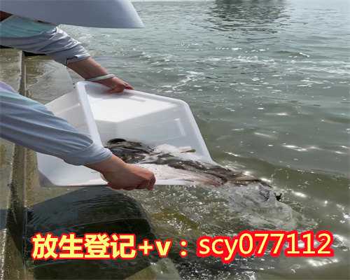 杭州草龟放生江，杭州