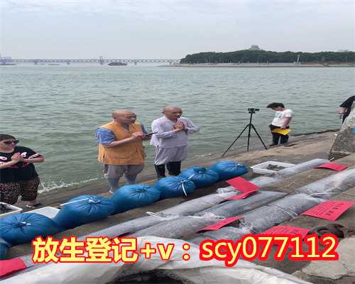 重庆江边适合放生的地点有哪些，重庆市华岩文教基金会放生两万鱼苗回归自然