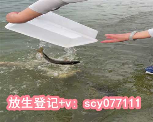 郑州放生得财富的真实例子，十五放生鱼一般放几条